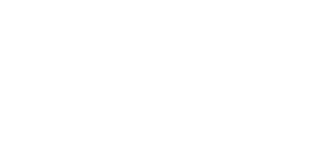 HOOVER REALTY LOGO WHITE 01